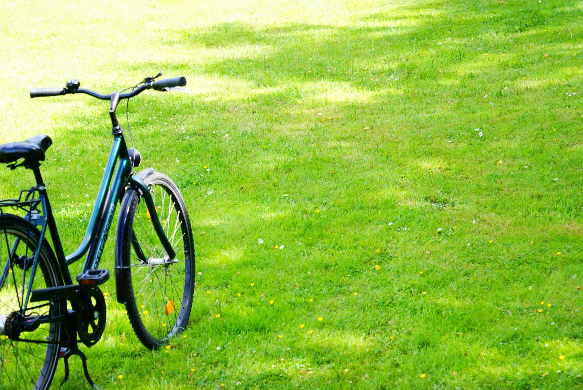 Das Schmoeckwitz Berlin Ngoại thất bức ảnh